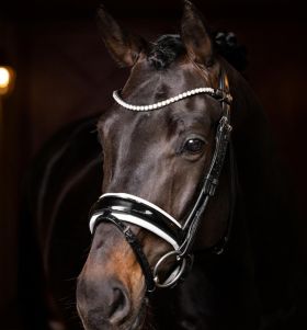 LeMieux Ice Crystal Browband - Black - LeMieux
