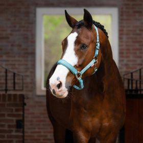 LeMieux Logo Headcollar - Glacier - LeMieux