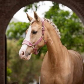 LeMieux Vogue Fleece Headcollar and Leadrope - Blossom - LeMieux