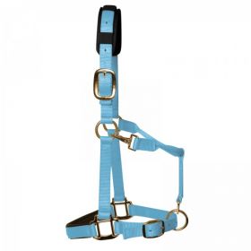 KM Elite Luxury Padded Headcollar Baby Blue