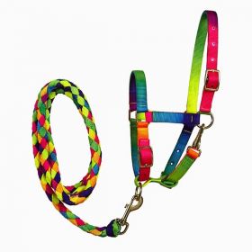 Elico Matterdale Headcollar Set - Foal+ Lead
