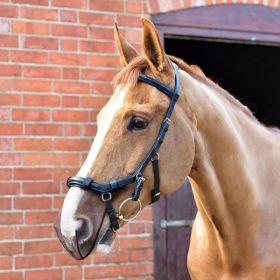 Equilibrium Net Relief Muzzle Net for Micklem®  Bridles - Equilibrium
