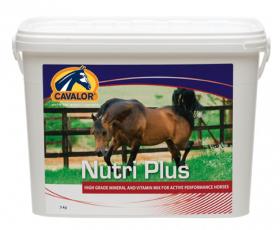 Cavalor Nutriplus 5kg -  Cavalor