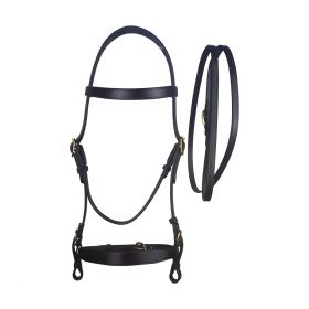 Cameo Equine Inhand Bridle And Lead Black - Cameo Equine