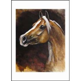 Diane Hennchen Palomino Arab