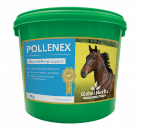 Global Herbs Pollenex