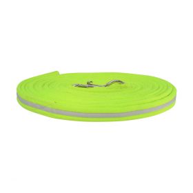 HyVIZ Reflector Lunge Rein - Yellow
