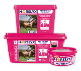 Horslyx Pro Digest Balancer Lick