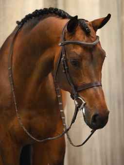 PS of Sweden Wellington Hunter Bridle-Brown-Cob - PS of Sweden