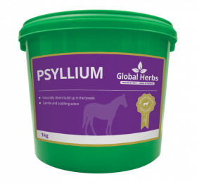 Global Herbs Psyllium 1kg - Global Herbs