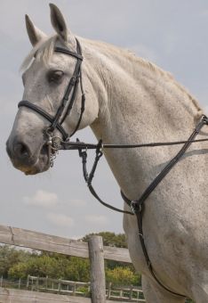Rhinegold Elegance Stitched Breastplate