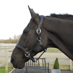 Rhinegold Softee Pro-Anatomical Leather Headcollar - Black