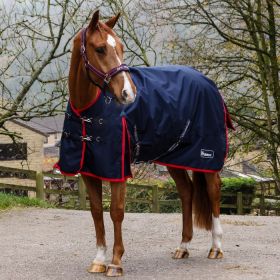 John Whitaker Rastrick V2 100g Turnout Rug - John Whitaker