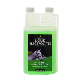 Lincoln Liquid Electrolytes - Lincoln