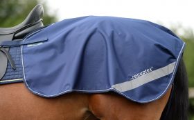Bucas Therapy Quarter Sheet - Bucas
