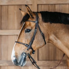 Dy'on Working Collection Round Leather Bridle - Brown