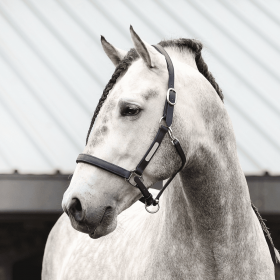 Equilibrium Stellar Fieldsafe Headcollar - Black - Equilibrium