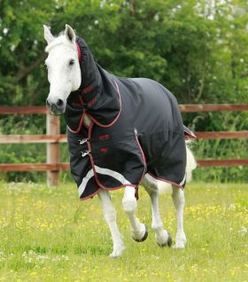 Premier Equine Titan 100g Turnout Rug with Snug-Fit Neck Cover Black