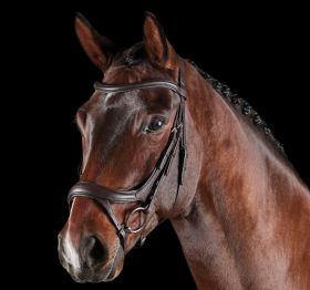 Collegiate ComfiTec Vogue Anatomical Bridle - Black - Collegiate
