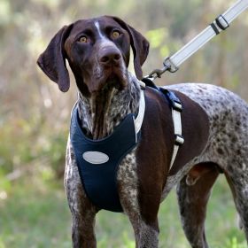 Weatherbeeta Explorer Dog Lead - WeatherBeeta