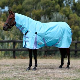 WeatherBeeta ComFiTec Classic Combo Neck Lite Turnout Rug - Blue Lemon -  WeatherBeeta