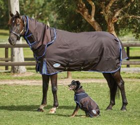 WeatherBeeta Comfitec Ultra Cozi II Detach-A-Neck Medium Turnout Rug-5'6 - EU 125 - WeatherBeeta
