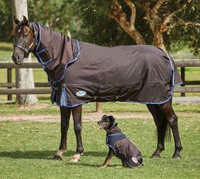 WeatherBeeta Comfitec Ultra Cozi II Detach-A-Neck Medium Turnout Rug-5'6 - EU 125 -  WeatherBeeta