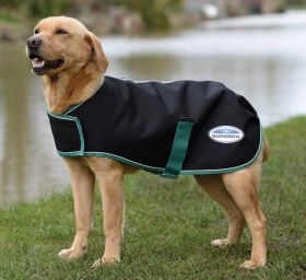 WeatherBeeta Green-Tec 900D Dog Coat Medium - Black/Bottle Green -  WeatherBeeta