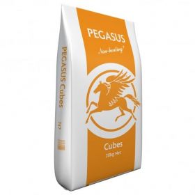 Spillers Pegasus Value Cubes 20kg - Spillers