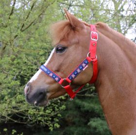 Christmas Head Collar & Lead Rope by Little Rider