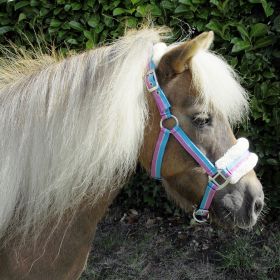 Rhinegold Bright Striped Fur Trim Small Pony Headcollar - Turquoise Raspberry - Rhinegold