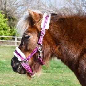 Rhinegold Bright Striped Fur Trim Small Pony Headcollar - Turquoise Raspberry - Rhinegold
