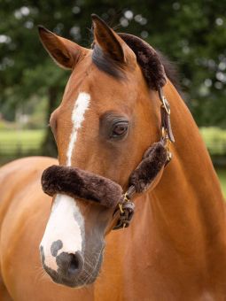 LeMieux Simuwool Headcollar Set - Brown