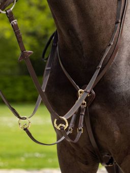 LeMieux Kudos Running Martingale - Havana - Brass