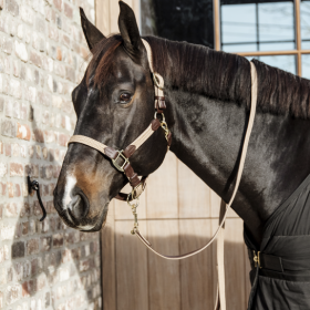 Kentucky Plaited Nylon Halter - Navy -  Kentucky Horsewear