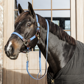 Kentucky Plaited Nylon Halter- Light Blue -  Kentucky Horsewear