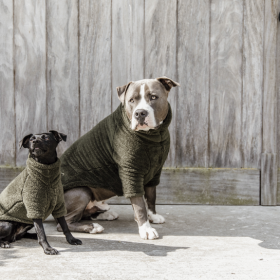 Kentucky Dog Sweater Teddy Fleece - Beige -  Kentucky Horsewear