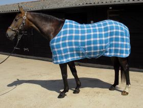 Rhinegold Smart-Tec Waffle Rug