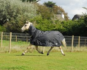 Rhinegold Elite Full Neck Montpelier 100g Turnout Rug