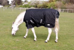 Rhinegold Konig 200gm Turnout Rug available in 4ft6 to 7ft Black