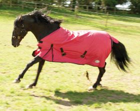 Rhinegold Konig 200gm Turnout Rug available in 4ft6 to 7ft Red