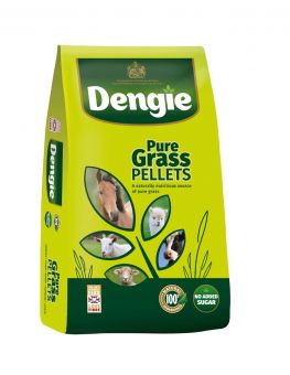 Dengie Grass Pellets -  Spillers