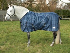 Rhinegold Atlanta Fleece Lined Lightweight Turnout Rug - Rhinegold