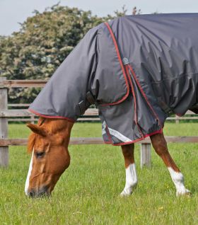 Premier Equine Buster 150g Turnout Rug With Classic Neck Cover Grey -  Premier Equine