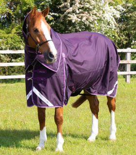 Premier Equine Buster 70g Combo Turnout Rug with Classic Neck Purple -  Premier Equine