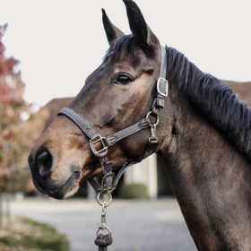 Kentucky Plaited Nylon Halter - Navy -  Kentucky Horsewear