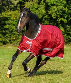 Bucas Select Turnout Rug  Ruby