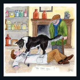 James Herriot Greeting Card - He Likes You