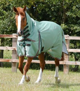 Premier Equine Combo Mesh Air Fly Rug with Surcingles - Green