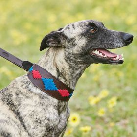 Weatherbeeta Lurcher Polo Leather Dog Collar - Beaufort Brown Pink Blue - WeatherBeeta